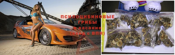 jwh Володарск