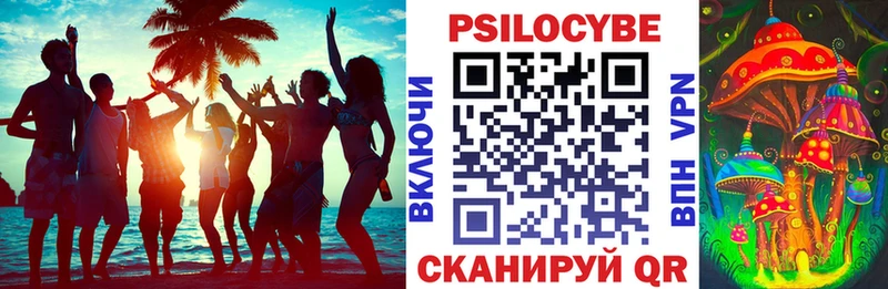 Купить  Вилюйск  Галлюциногенные грибы Psilocybine cubensis 
